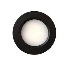 Aten Lighting 12V / 24V LED Black Adjustable White CCT, 70mm